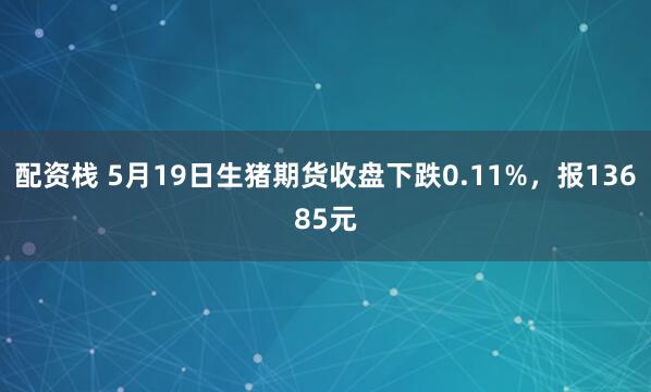 配资栈 5月19日生猪期货收盘下跌0.11%，报13685元