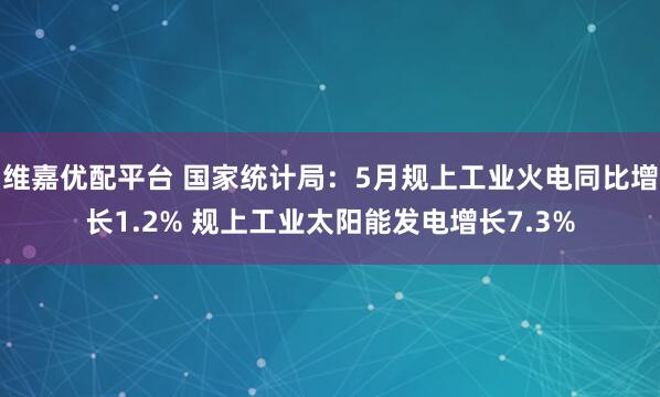维嘉优配平台 国家统计局：5月规上工业火电同比增长1.2% 规上工业太阳能发电增长7.3%
