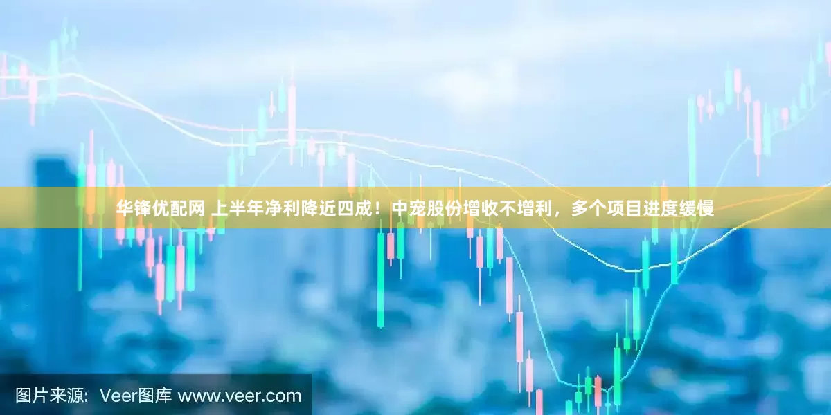 华锋优配网 上半年净利降近四成！中宠股份增收不增利，多个项目进度缓慢